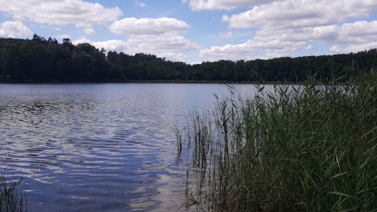 AreaSummer5KM AreaSummer5KM